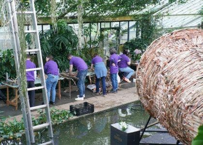 CSSC member Kew volunteering day