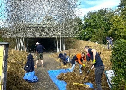 kew gardens wildflower meadow
