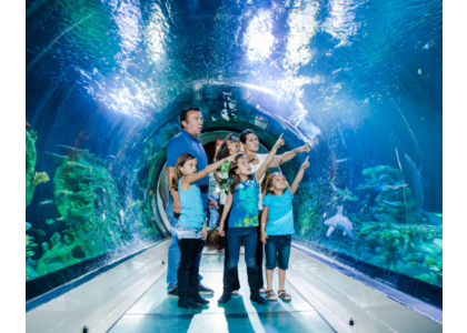 A family stood in the aquarium tunnel at sealife