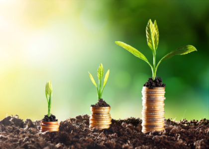 coin stacks increasing with plants sprouting out the top